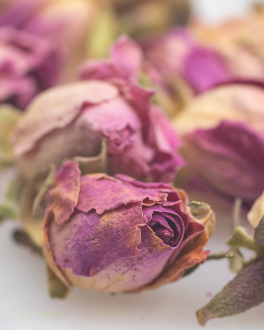 Persian Rose:regenerative effect on cell tissue